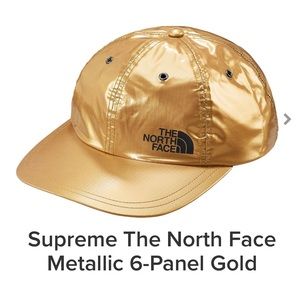 Gold SUPREME North Face SS18 TNF Collab
